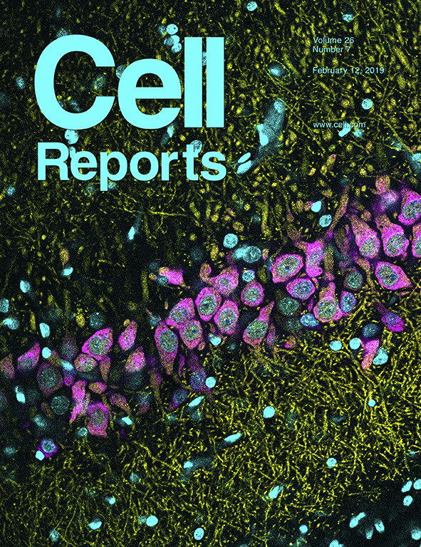 Fernandez-Lamo et al., Cell Reports 2019 (Virtual Cover)