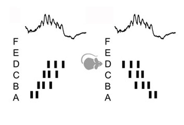 A consensus statement: defining terms for reactivation analysis