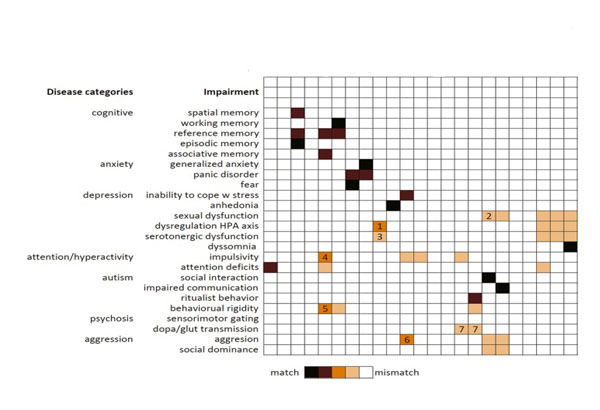 A companion to the preclinical common data elements on neurobehavioral comorbidities of epilepsy: a report of the TASK3 behavior working group of the ILAE/AES Joint Translational Task Force.