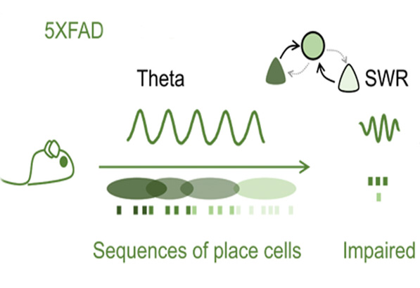 Threaded Structure of a Pathological Oblivion