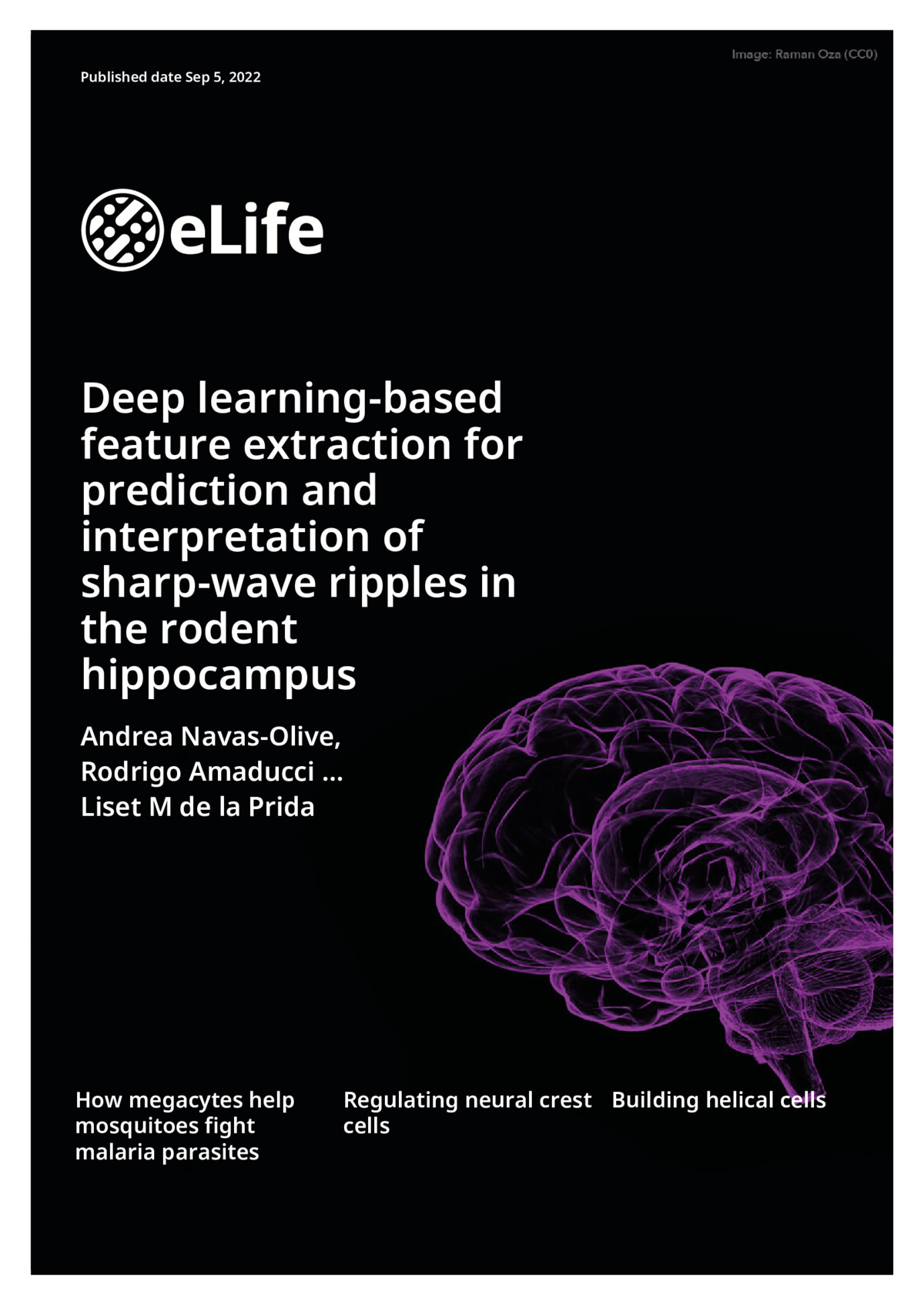 Navas-OLive, Amaducci et al., eLife (2022) (Virtual Cover)