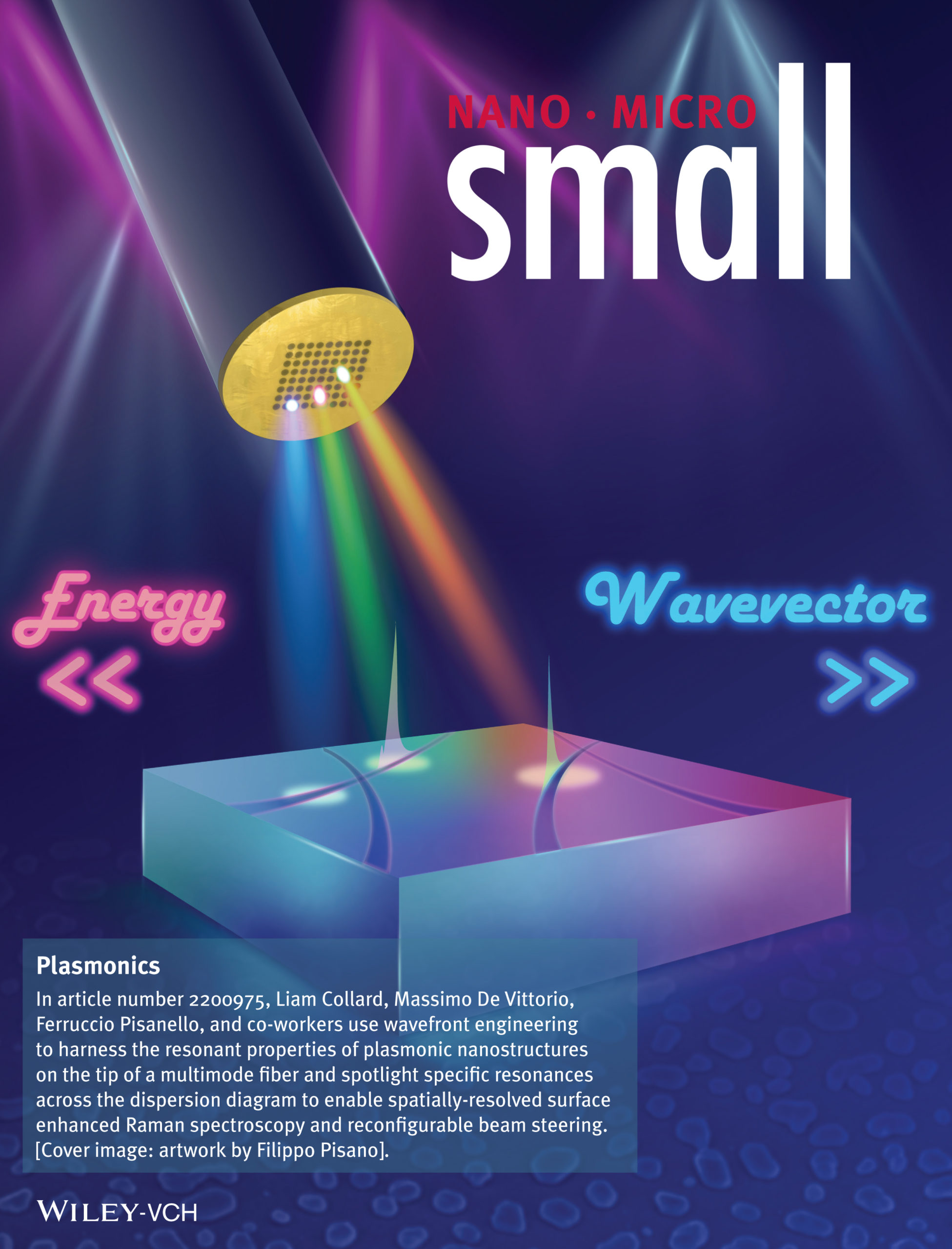 Collard et al. Small 2022 (Frontispiece)