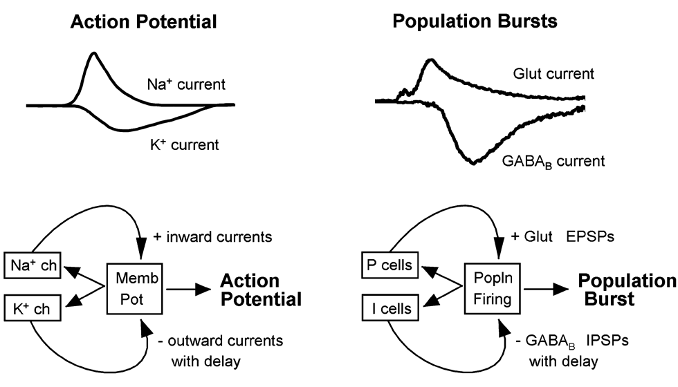 Population activity thresholds